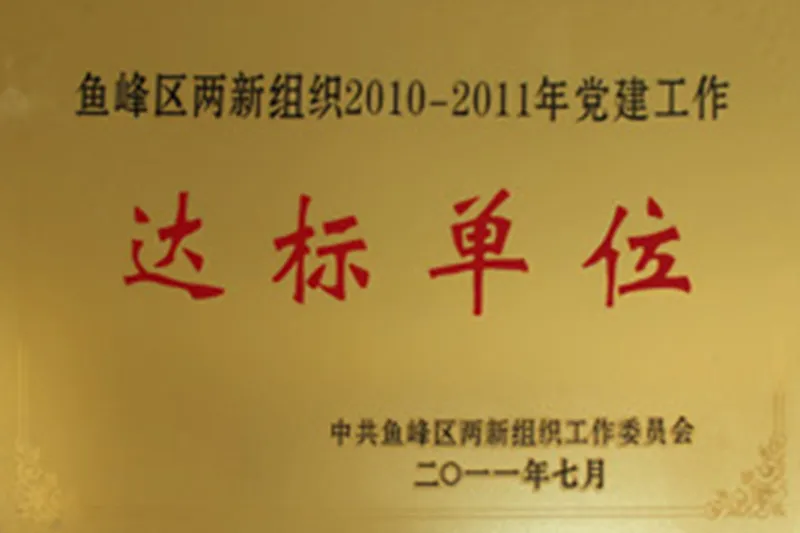 Сертификаты и награды-1 (2)