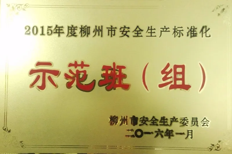 Сертификаты и награды-1 (8)